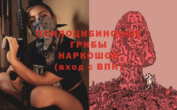 ешки Протвино