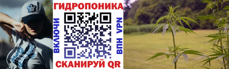 купить наркотики цена  Дербент  МАРИХУАНА AK-47 